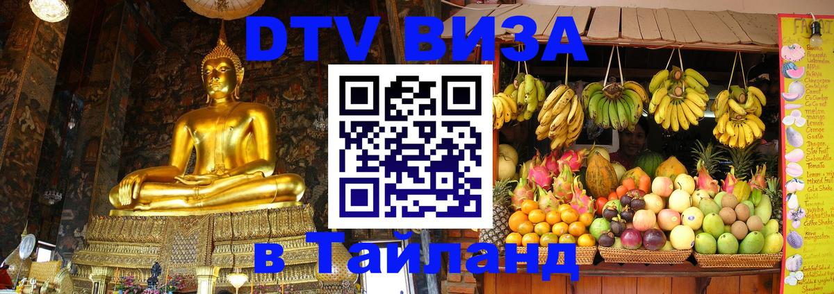 Оформление DTV визы под ключ: стоимость и тарифы, только загранпаспорт - Дзержинск 